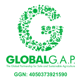 GlobalGAP Grupo Tsuge