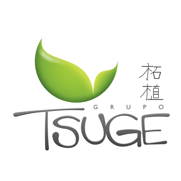 Grupo Tsuge