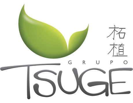 Grupo Tsuge